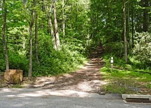 Cooks Glen Park
